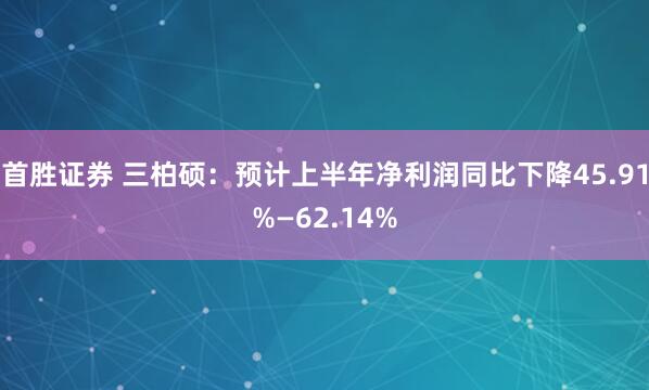 首胜证券 三柏硕：预计上半年净利润同比下降45.91%—62.14%