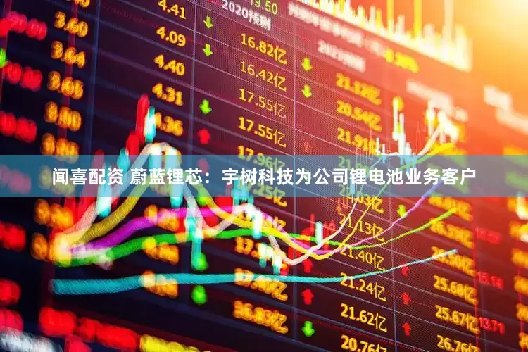 闻喜配资 蔚蓝锂芯：宇树科技为公司锂电池业务客户