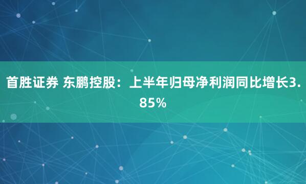 首胜证券 东鹏控股：上半年归母净利润同比增长3.85%